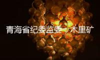 青海省纪委监委	：木里矿区非法采煤问题立案查处15人