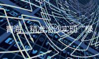 青海
：精准治沙实现“绿进沙退”