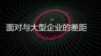 快排公司十年历程，霸屏兔 seo 的崛起与坚守