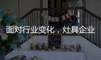面对行业变化
，灶具企业的准确切入点在哪里?
