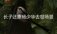 长子还原杨少华去世场景！头晕送医半路离世，杨议隐瞒细节惹争议