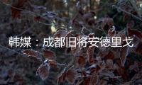 韩媒：成都旧将安德里戈加盟水原FC，不会回成都