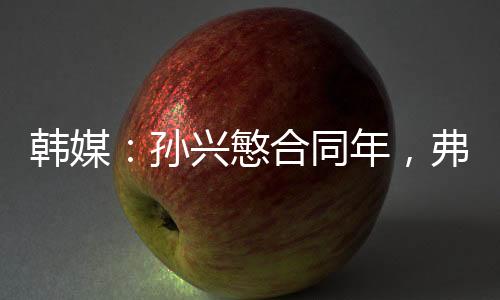 在效力热刺的橄榄10个赛季中