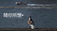 随你所想•体验未来丨海信照明系统，照亮你的生活