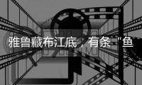 雅鲁藏布江底，有条“鱼”在凝望沙的迁徙