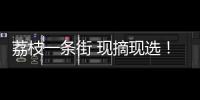 荔枝一条街 现摘现选
！斗门荔枝旅游文化嘉年华等你来