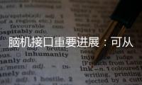 脑机接口重要进展：可从微细血管获得神经信号