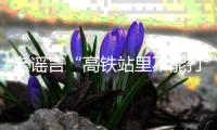老谣言“高铁站里不能打伞”又上热搜？其实更需注意时刻与电网保持安全距离丨硬核唠科