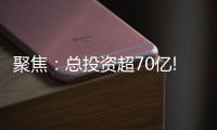 聚焦：总投资超70亿!三棵树�	、东方雨虹、富思特等项目被列为省重点项目