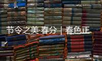 节令之美·春分｜春色正中分，人间恰良辰
