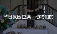 节日氛围拉满！动物们的专属“月饼”都是什么馅的？