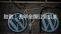 致敬
！去年全国公安机关382名民辅警因公牺牲