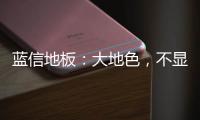 蓝信地板�：大地色�，不显眼	，却很高级