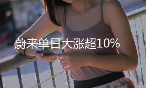 蔚来创始人、涨超李斌强调