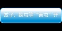 蚊子	、蜱虫等“害虫”开始活跃�，这份防虫全攻略请收好