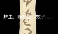 蜱虫
、隐翅虫
、蚊子……夏季常见蚊虫如何应对