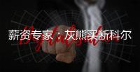 薪资专家：灰熊买断科尔