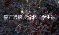 警方通报“渝北一学生被人贩子针扎后昏迷”：嫌疑人已被刑拘