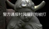 警方通报村民撞到狗被打
：5名嫌疑人到案 犬主曾任村干部