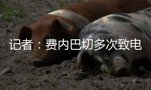 费内巴切正在等待结果