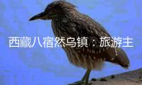 西藏八宿然乌镇：旅游主线带动产业协调发展