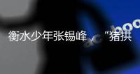 衡水少年张锡峰，“猪拱白菜”之后