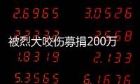 被烈犬咬伤募捐200万争议：医院称未开证明
，轻松筹称家属自估金额