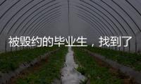 被毁约的毕业生，找到了更好的工作丨记者手记