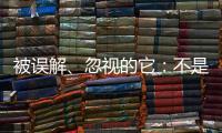 被误解、忽视的它�：不是凉拌菜，退化形势严峻｜世界海草日