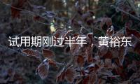 试用期刚过半年
，黄裕东任上被查