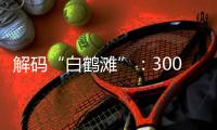 解码“白鹤滩”：300米级大坝无一毫米级温度裂缝