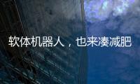 软体机器人，也来凑减肥药的热闹了