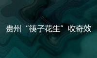 贵州“筷子花生”收奇效 曲波一脚踢飞了3000万？