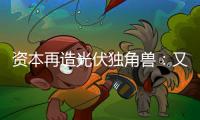 资本再造光伏独角兽：又一批百亿估值公司来袭
