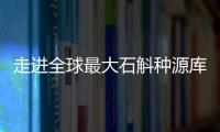 走进全球最大石斛种源库：探索野生石斛种质资源异地保护