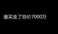 谁买走了总价7000万元以上的豪宅？