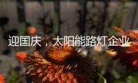 迎国庆，太阳能路灯企业忙业绩同时要保证品质