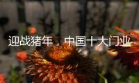 迎战猪年	，中国十大门业品牌深耕精众圈子