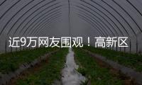 近9万网友围观�！高新区这场自然与文明的“云约会”太赞了