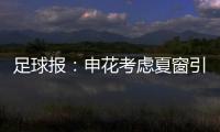 足球报
：申花考虑夏窗引进外援前锋，米内罗已基本赛季报销