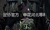 快排公司十年历程，霸屏兔 seo 的崛起与坚守