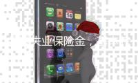 领过失业保险金
�，基本养老保险个人账户里的钱不会变少