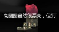 高圆圆虽然很漂亮，但到这个年龄还是少穿这种露肉的衣服好。