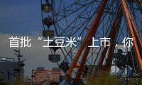 首批“土豆米”上市	，你吃过吗？