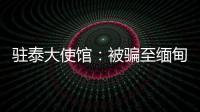 驻泰大使馆	：被骗至缅甸男模特衷某已获救