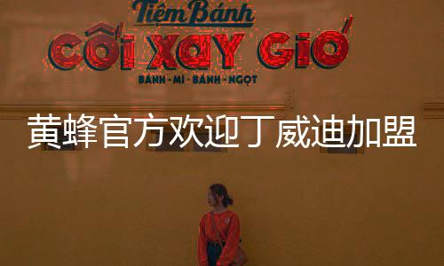 丁威迪加根据球队政策