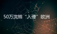 50万浣熊“入侵”欧洲
，“生态害兽”泛滥难解