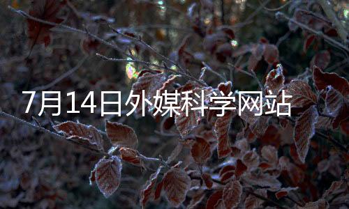 外媒网站专利数量居首