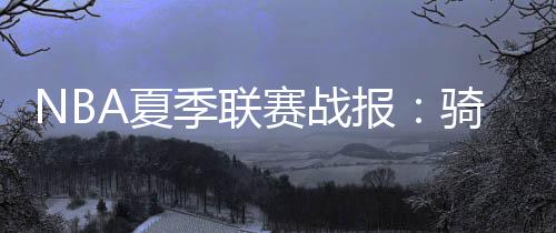 迈阿密热火：凯尔-韦尔