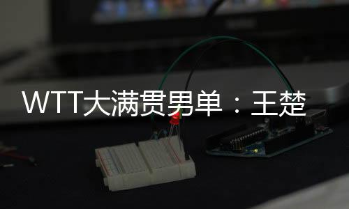 第三局张本智和开局取得领先